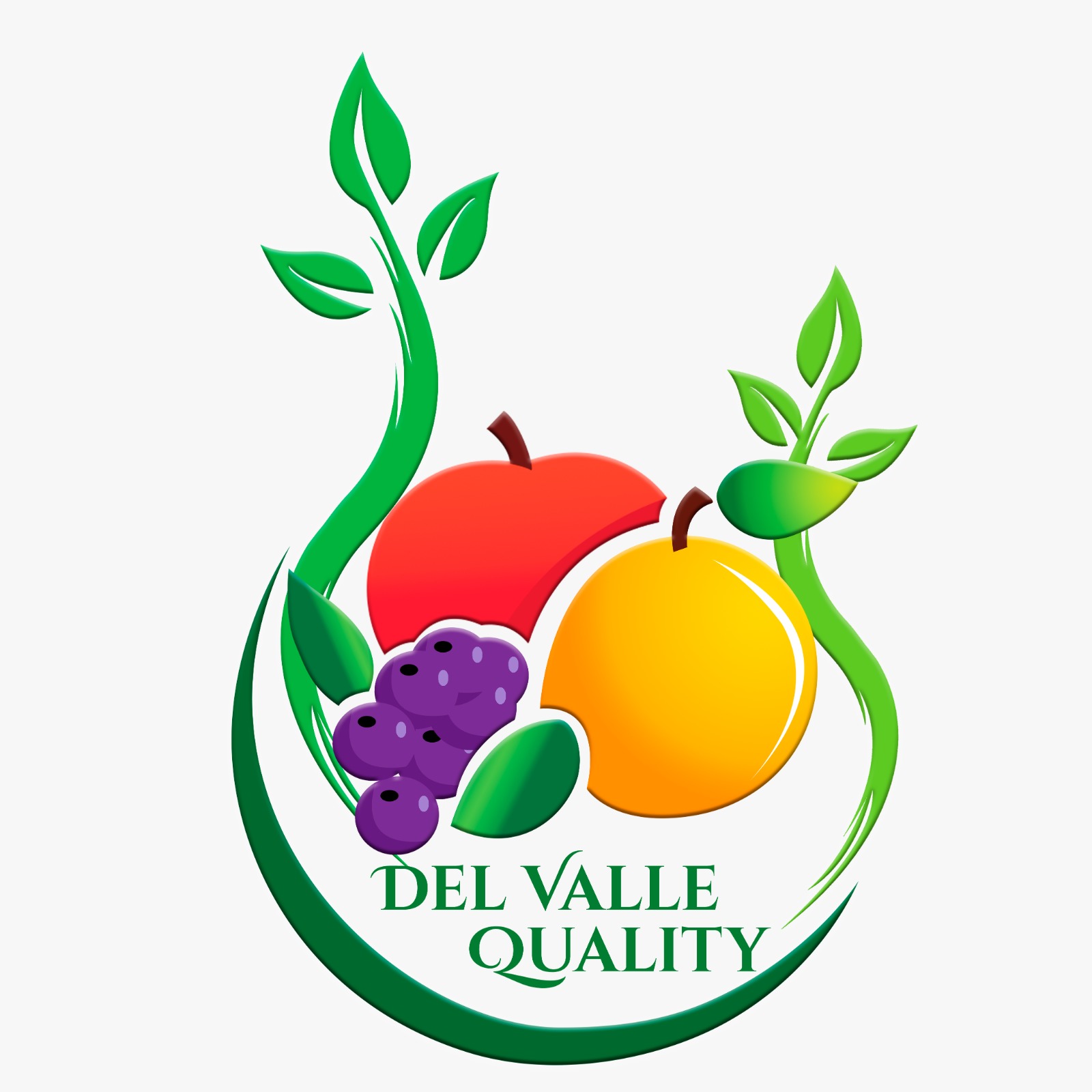 Logo Del Valle Quality Consultora